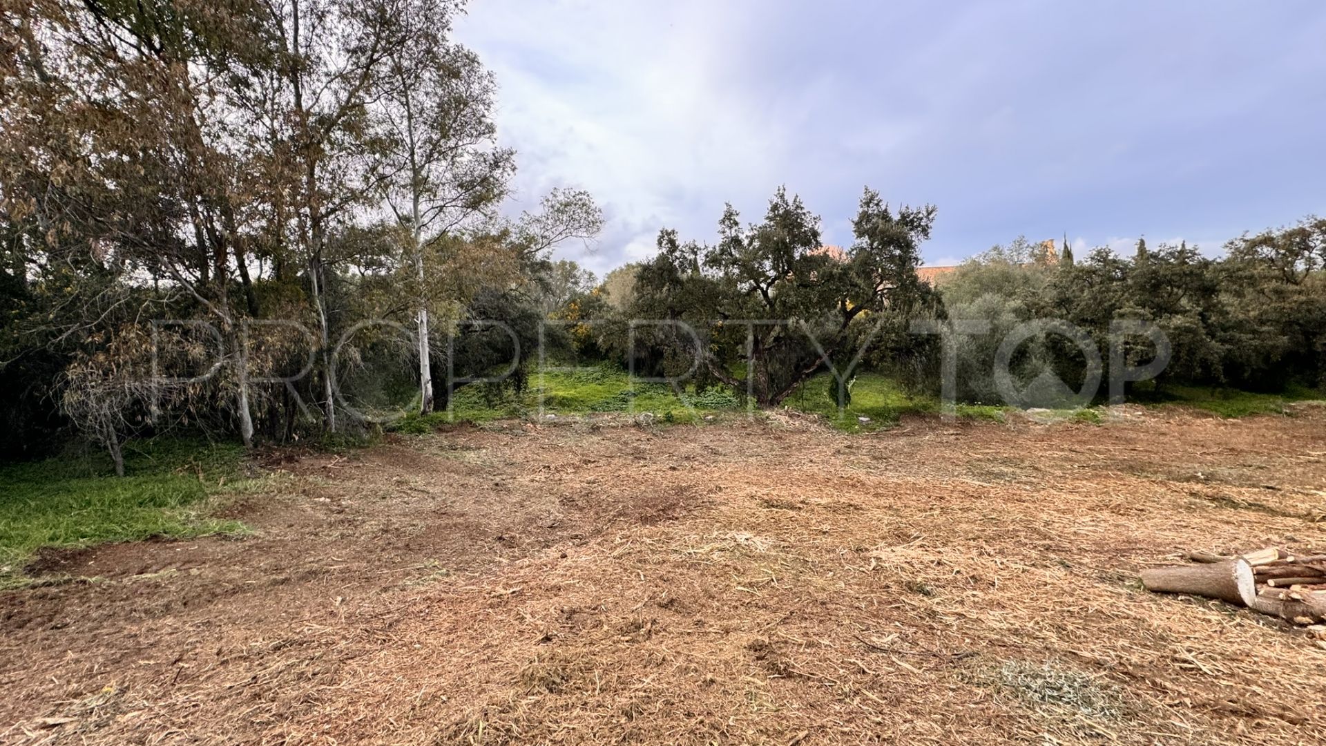 Plot for sale in Zona B