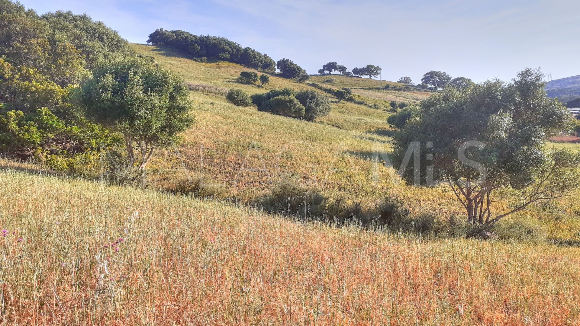 Secadero, parcela a la venta