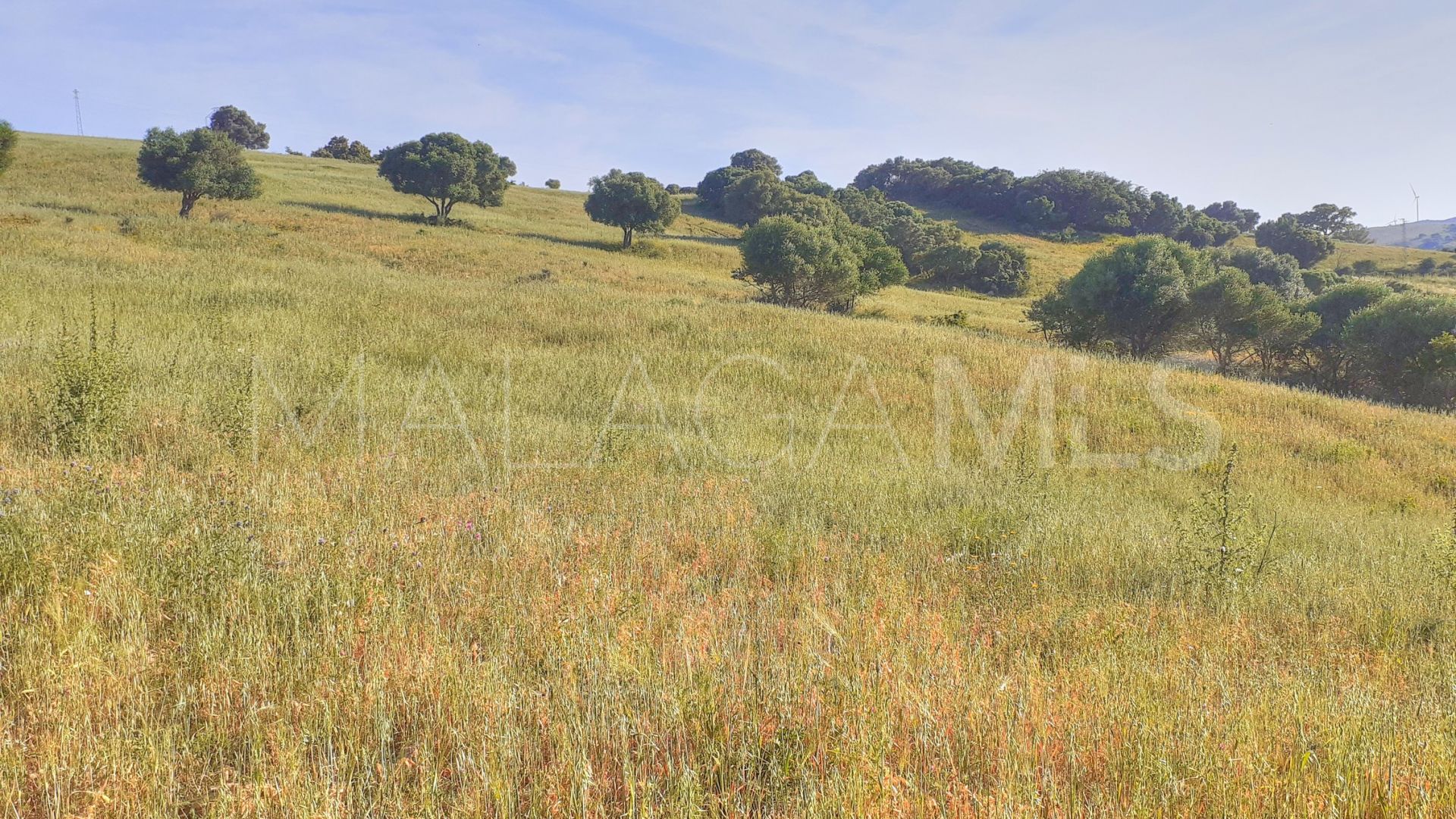 Secadero, parcela a la venta