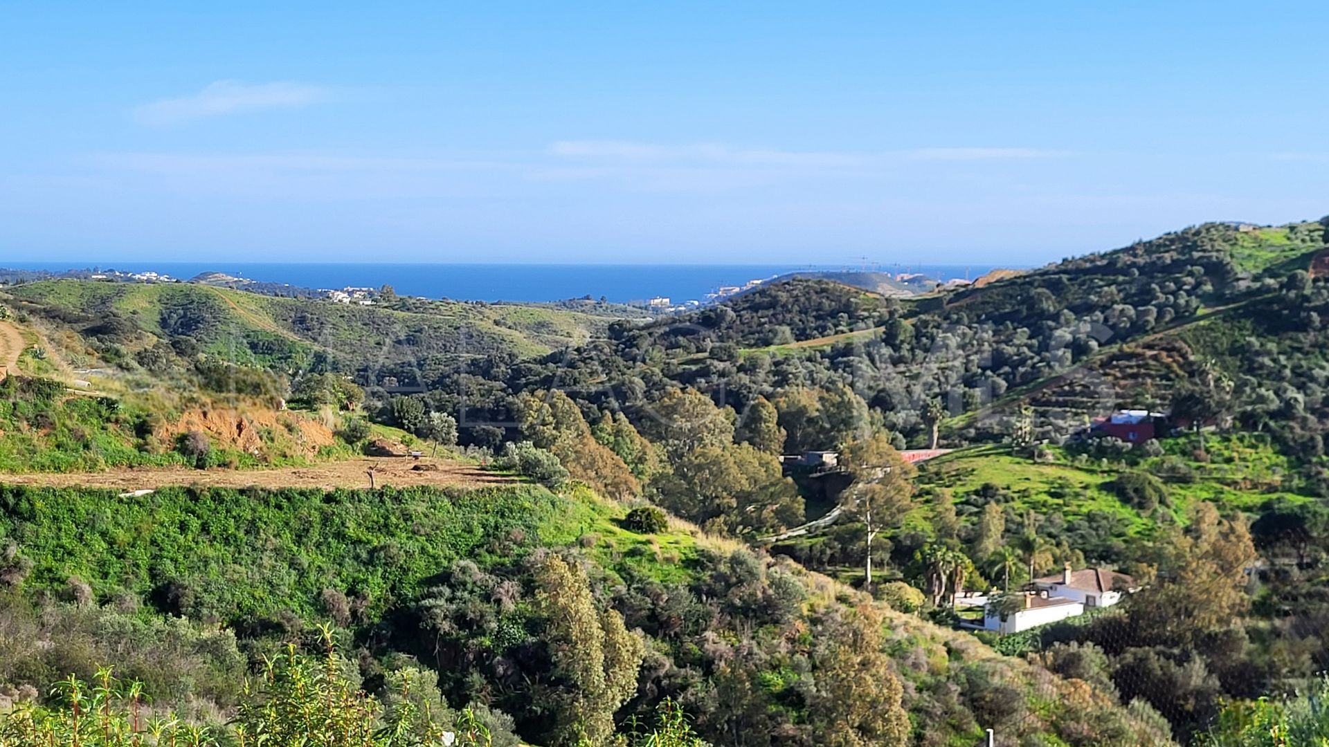 Buy villa in Mijas Costa