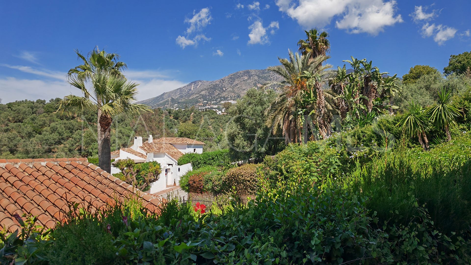 Villa for sale in Mijas