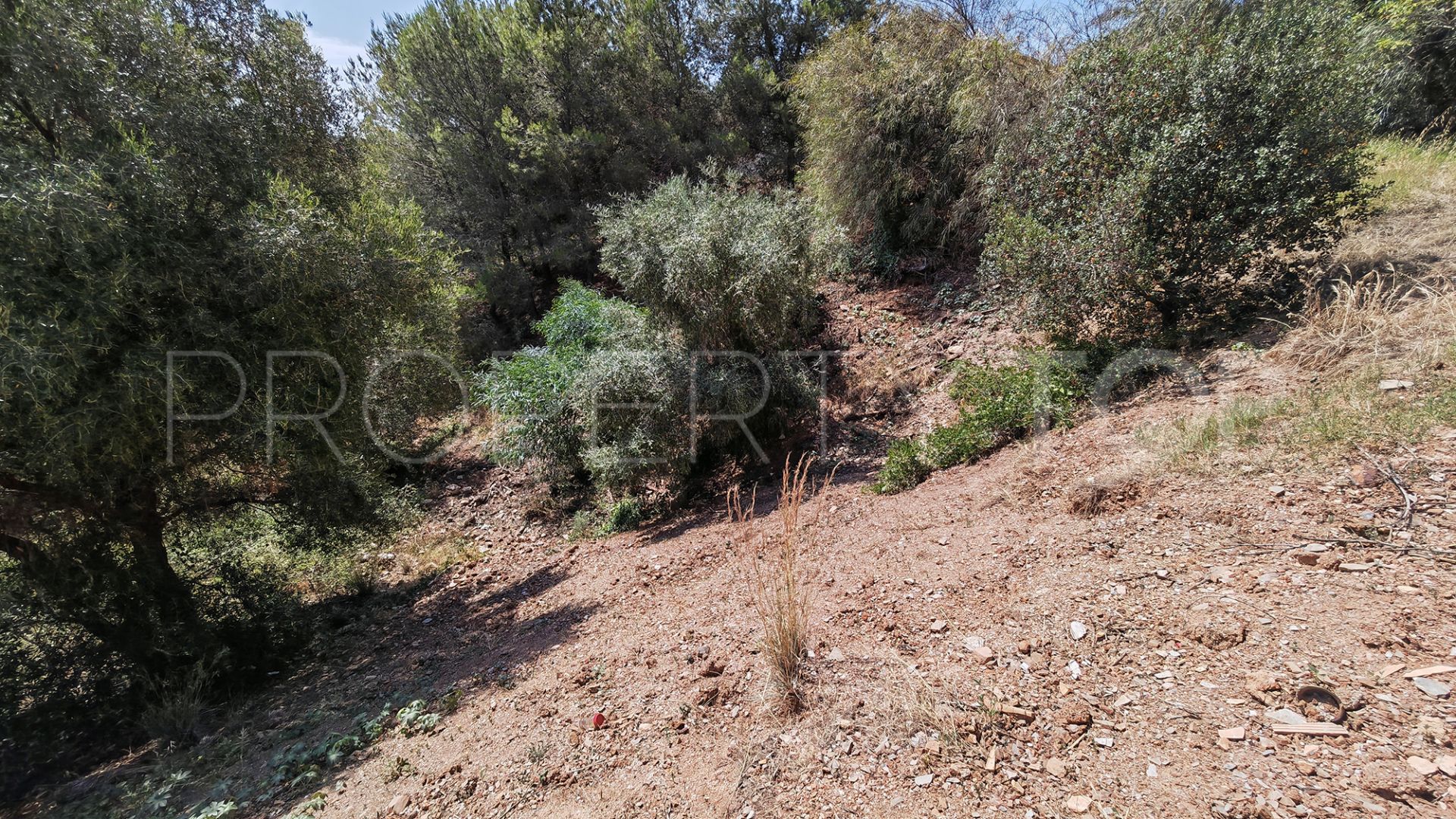 Hacienda las Chapas, parcela a la venta