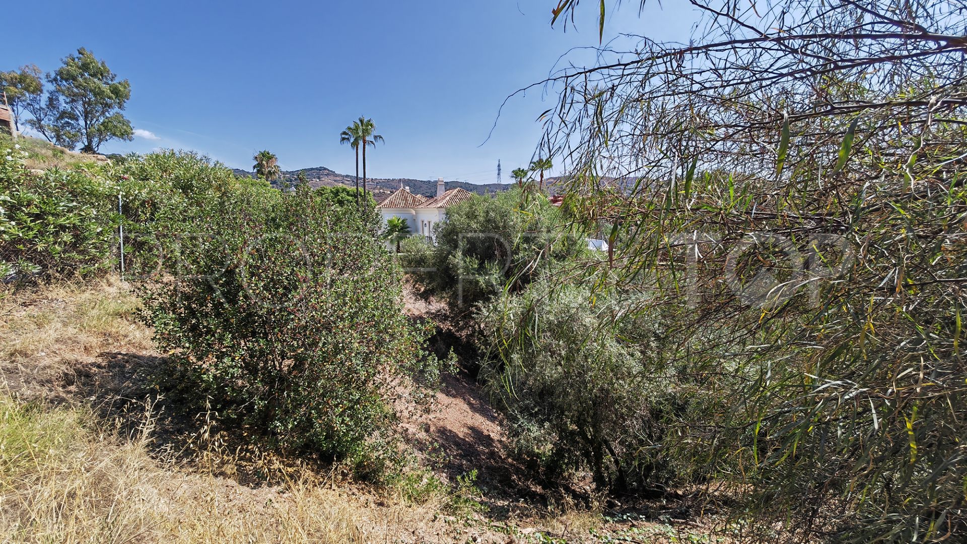 Hacienda las Chapas, parcela a la venta