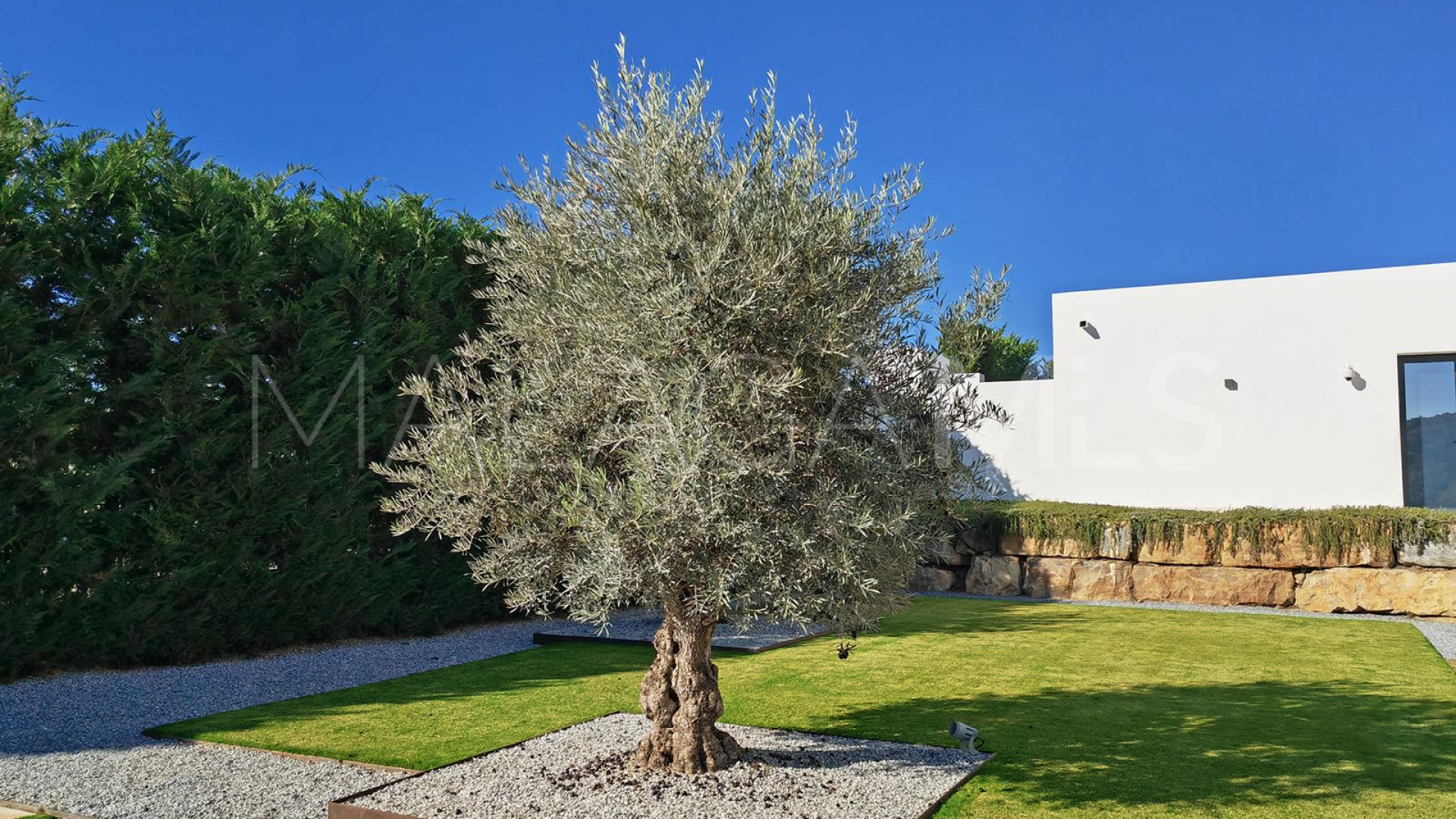 Villa for sale in Monte Mayor