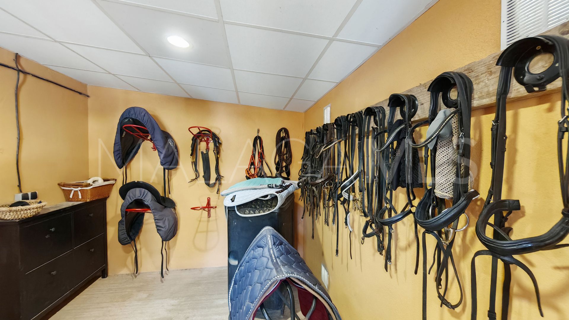 Finca for sale in Coin