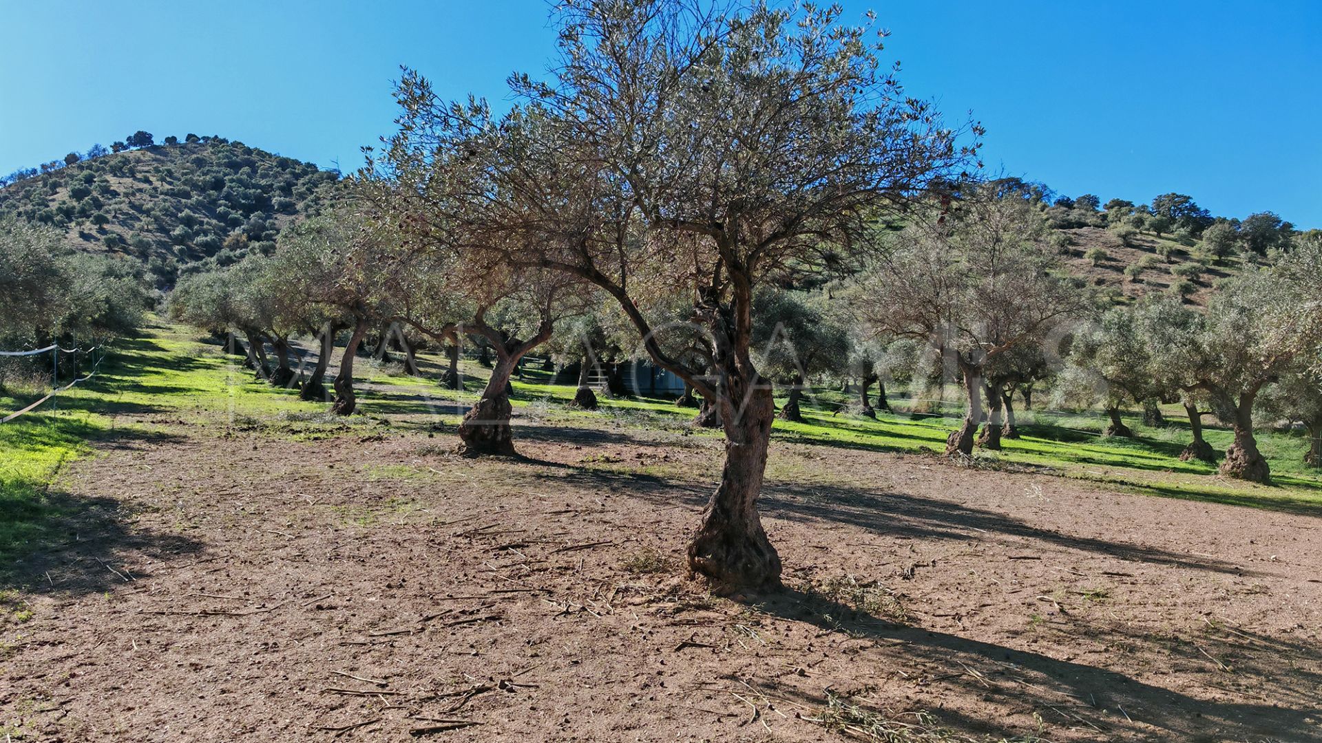 Finca for sale in Coin