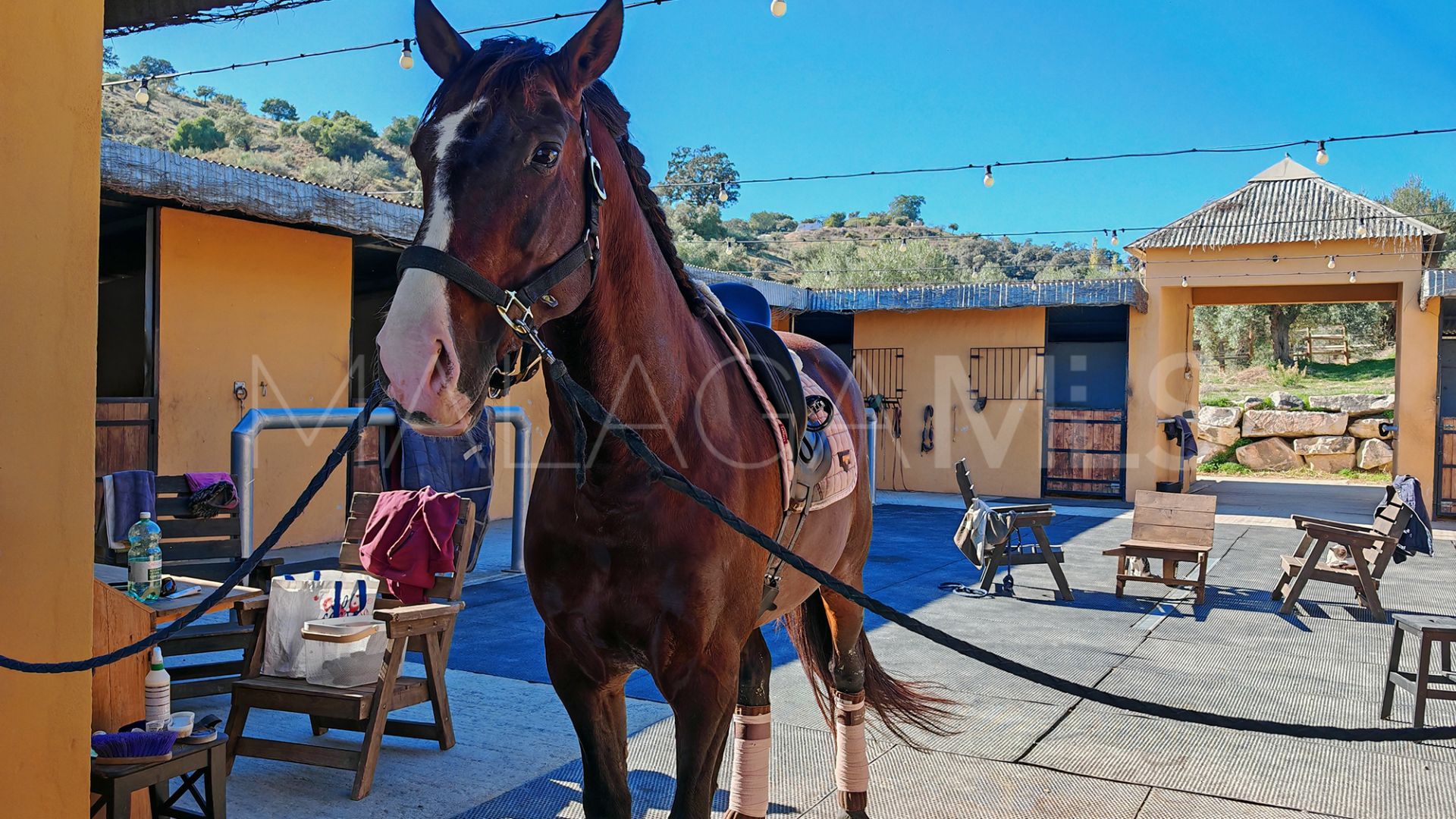 Finca for sale in Coin