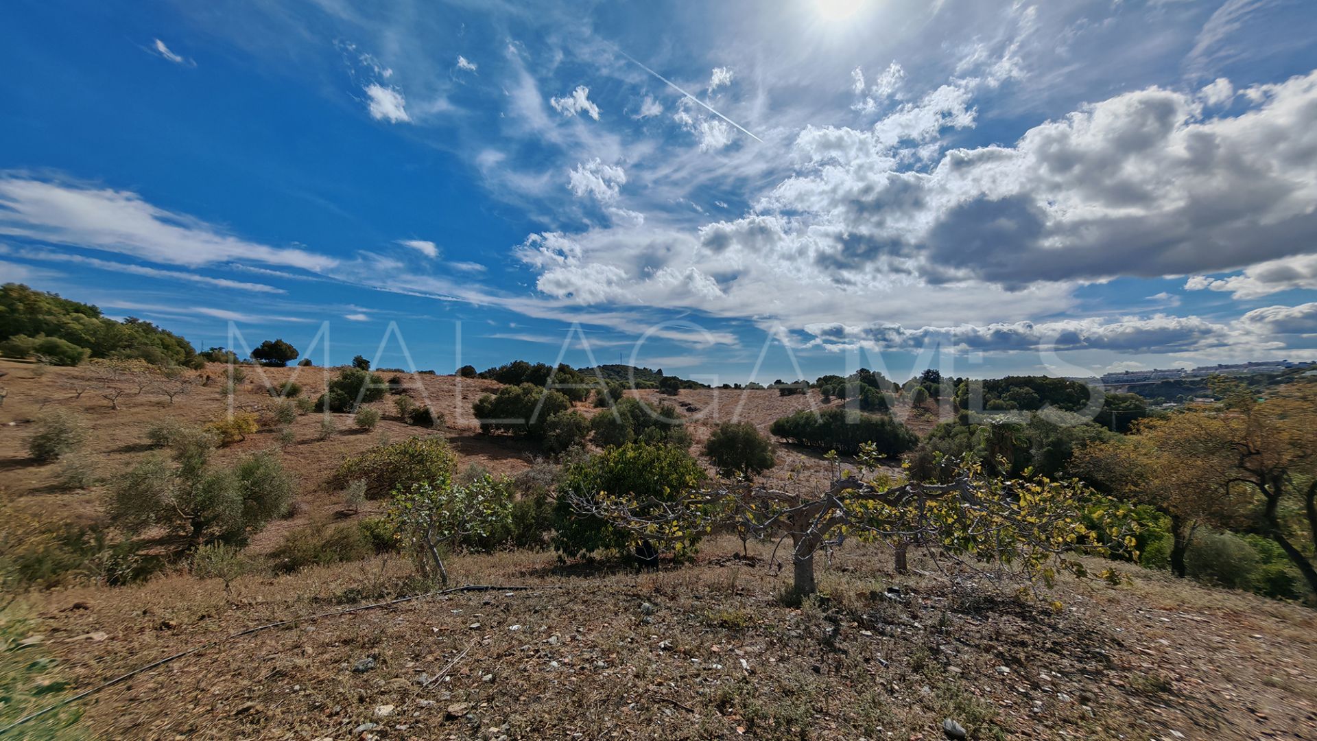 Finca for sale in Guadalobon