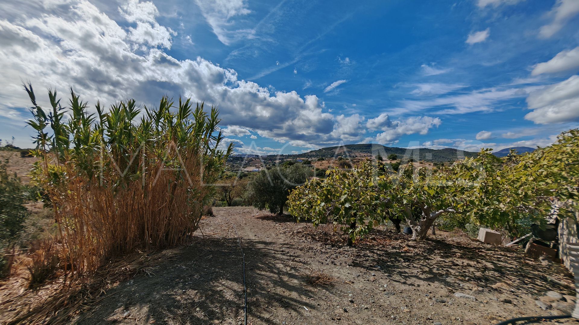 Finca for sale in Guadalobon