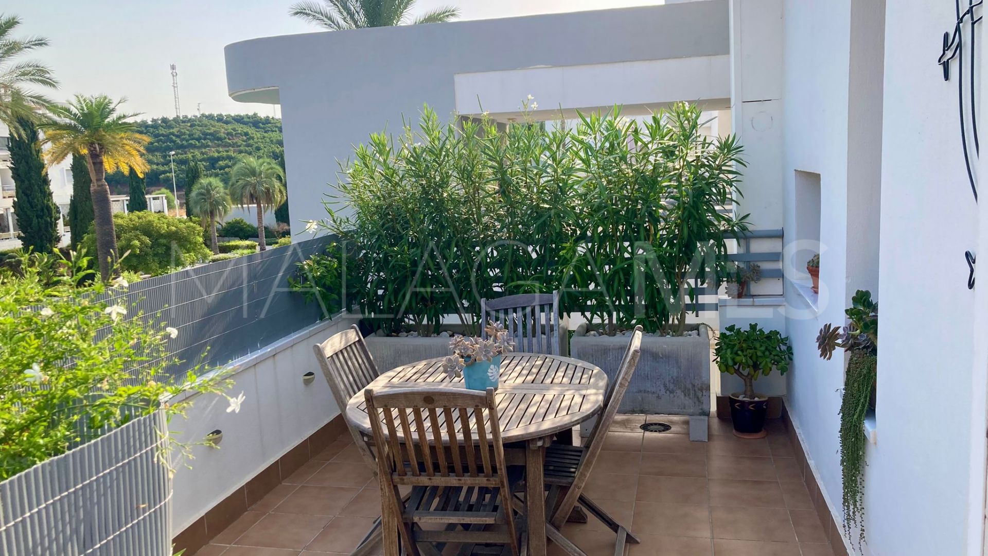 Buy apartamento in Cala de Mijas