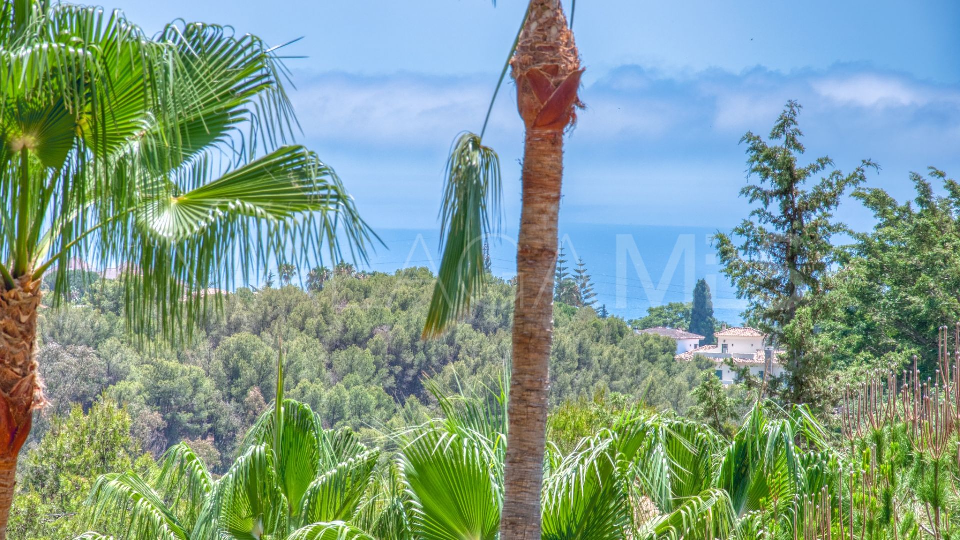 Appartement rez de chaussée for sale in Condado de Sierra Blanca