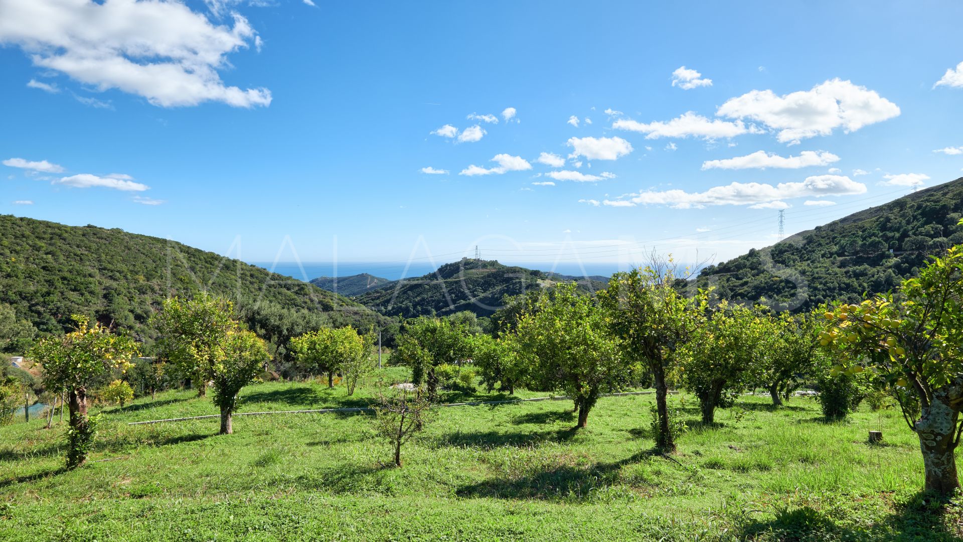 Finca for sale in Estepona
