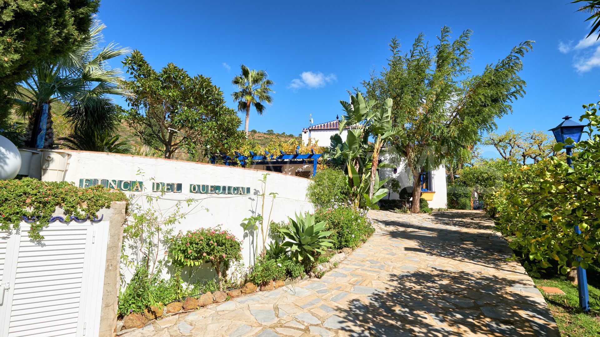 Finca for sale in Estepona