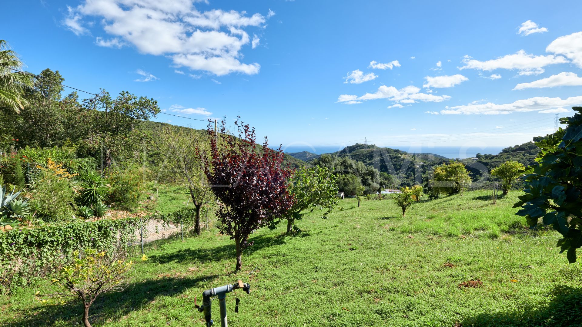Finca for sale in Estepona