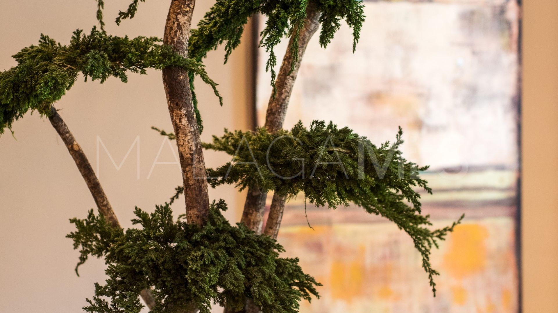 Maison de ville for sale in La Meridiana