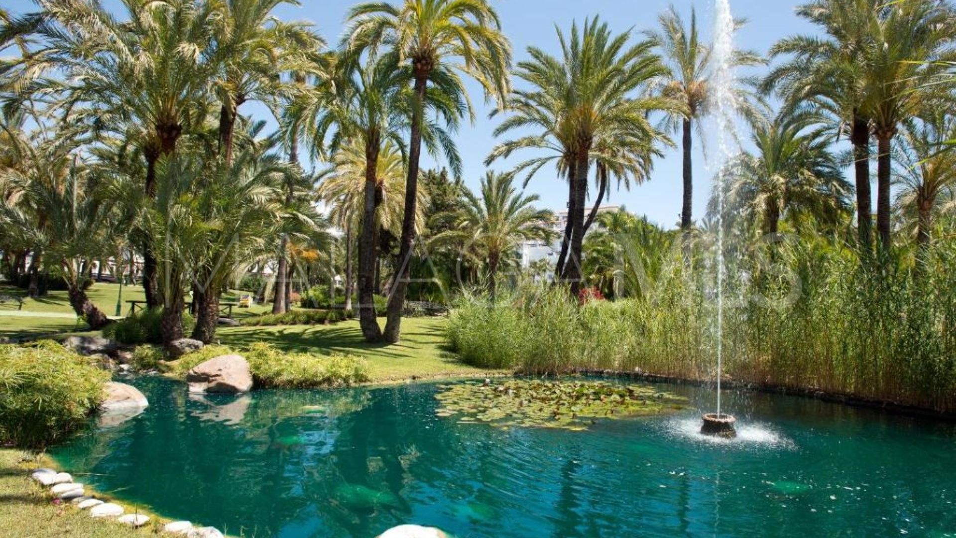 Markplanslägenhet for sale in Playas del Duque