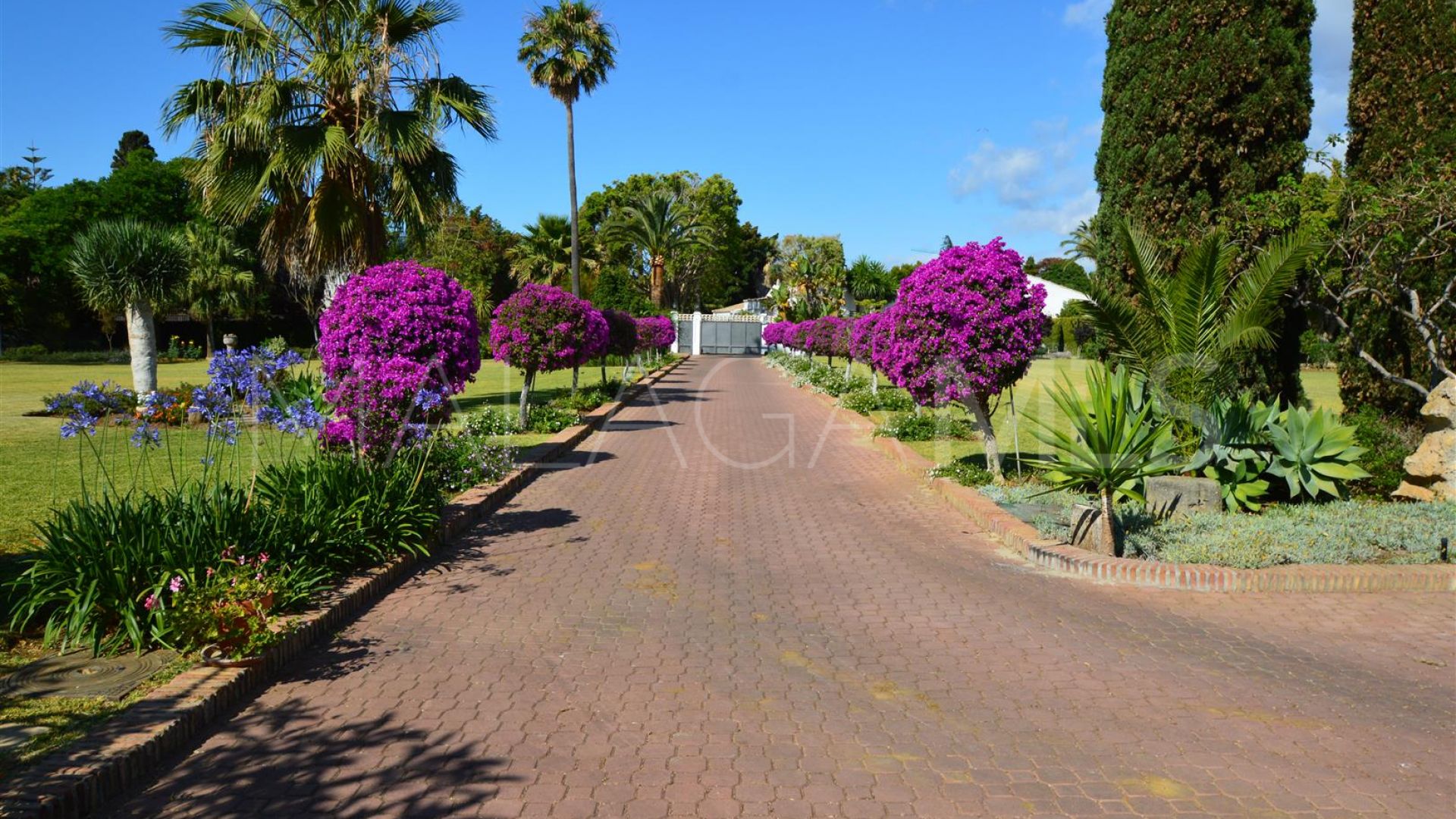 For sale villa in Guadalmina Baja with 8 bedrooms