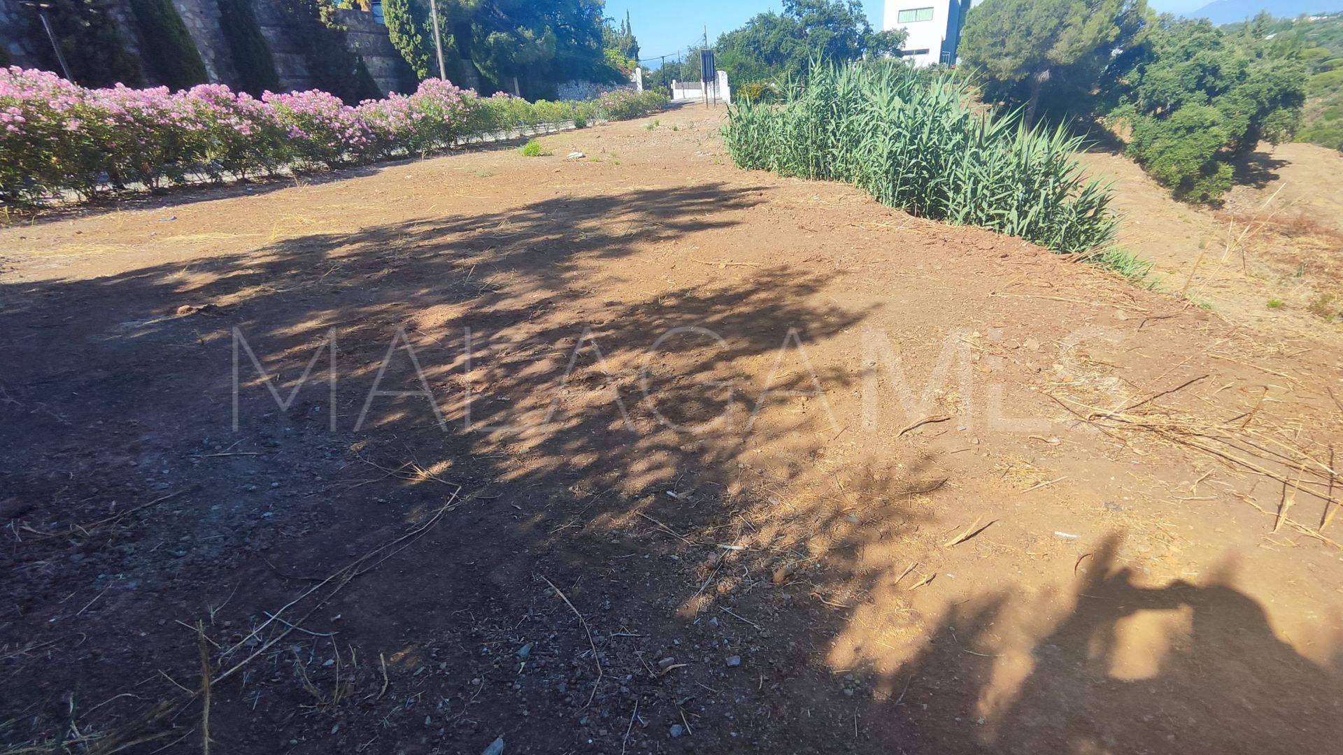 Elviria plot for sale