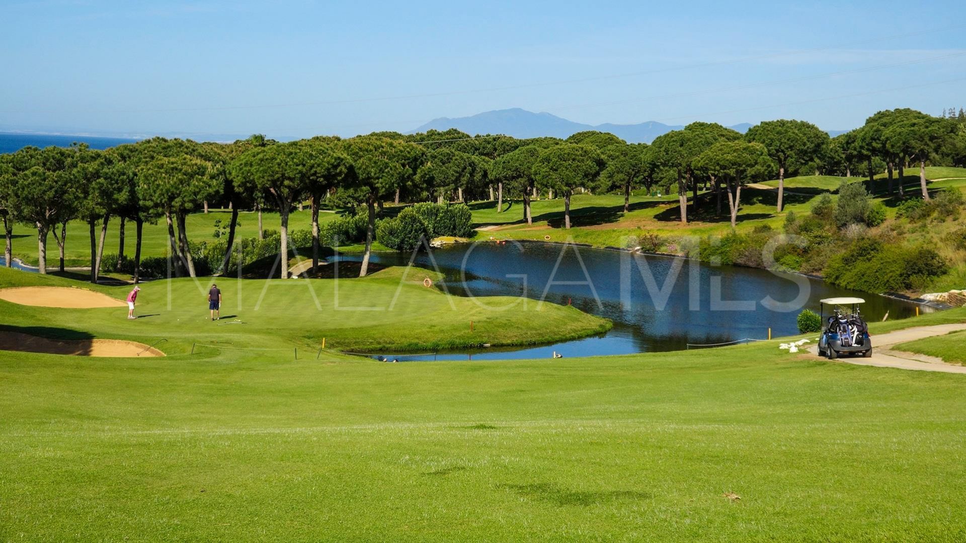 Villa for sale in Cabopino