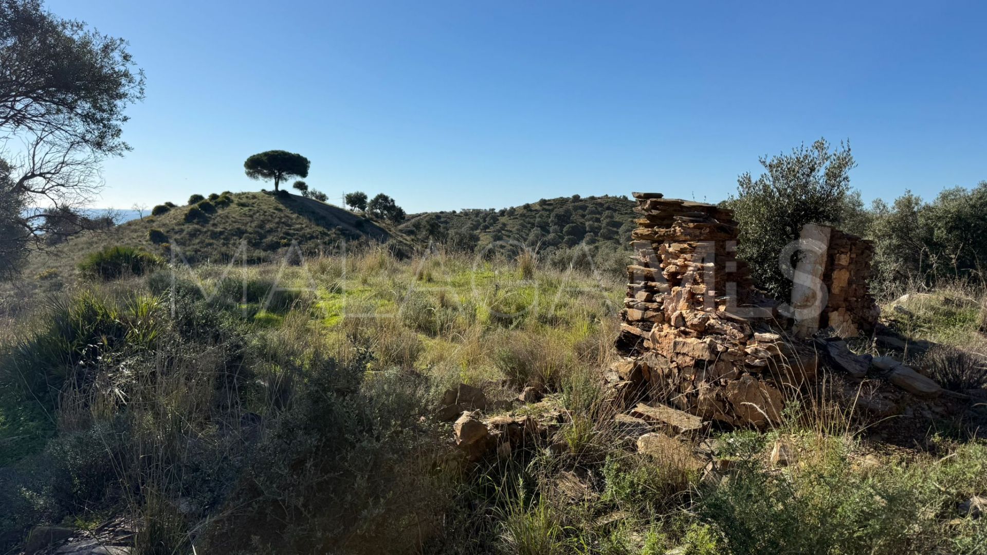 For sale Cala de Mijas plot