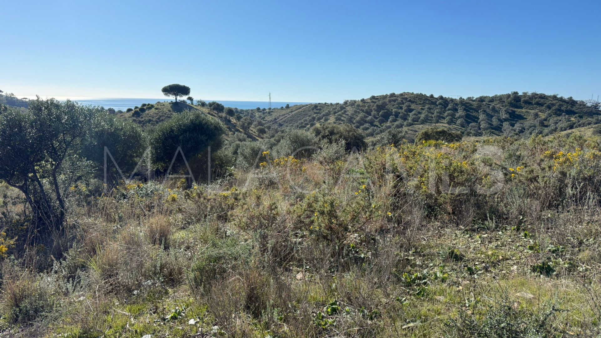 For sale Cala de Mijas plot