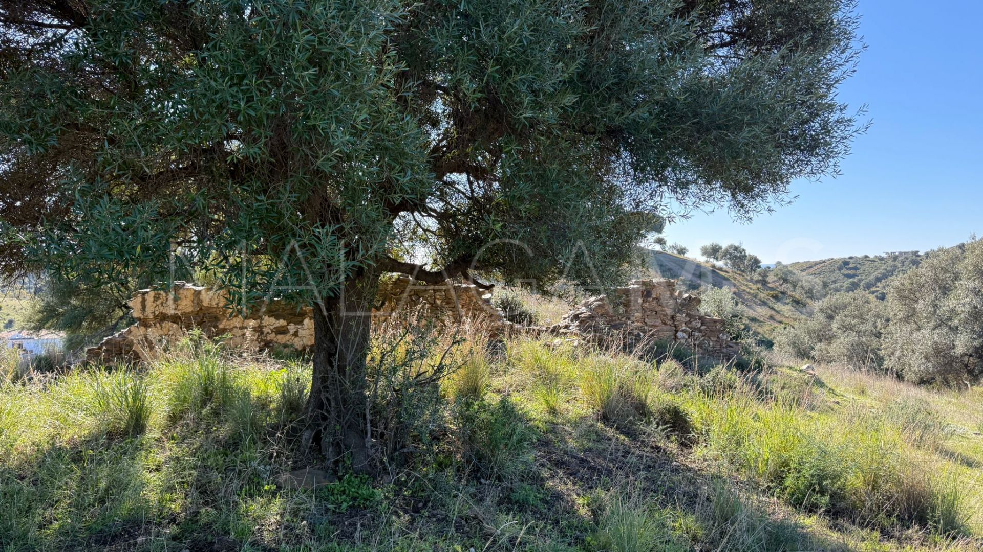 For sale Cala de Mijas plot