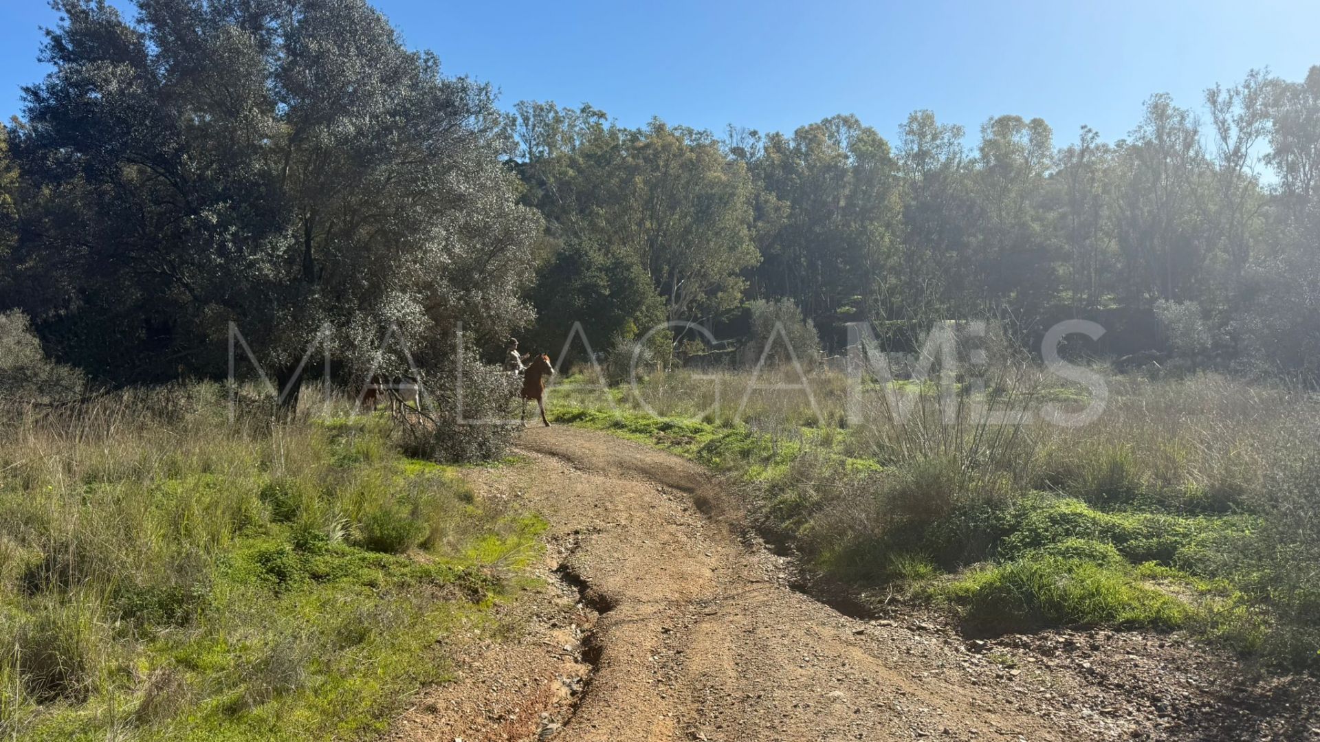For sale Cala de Mijas plot