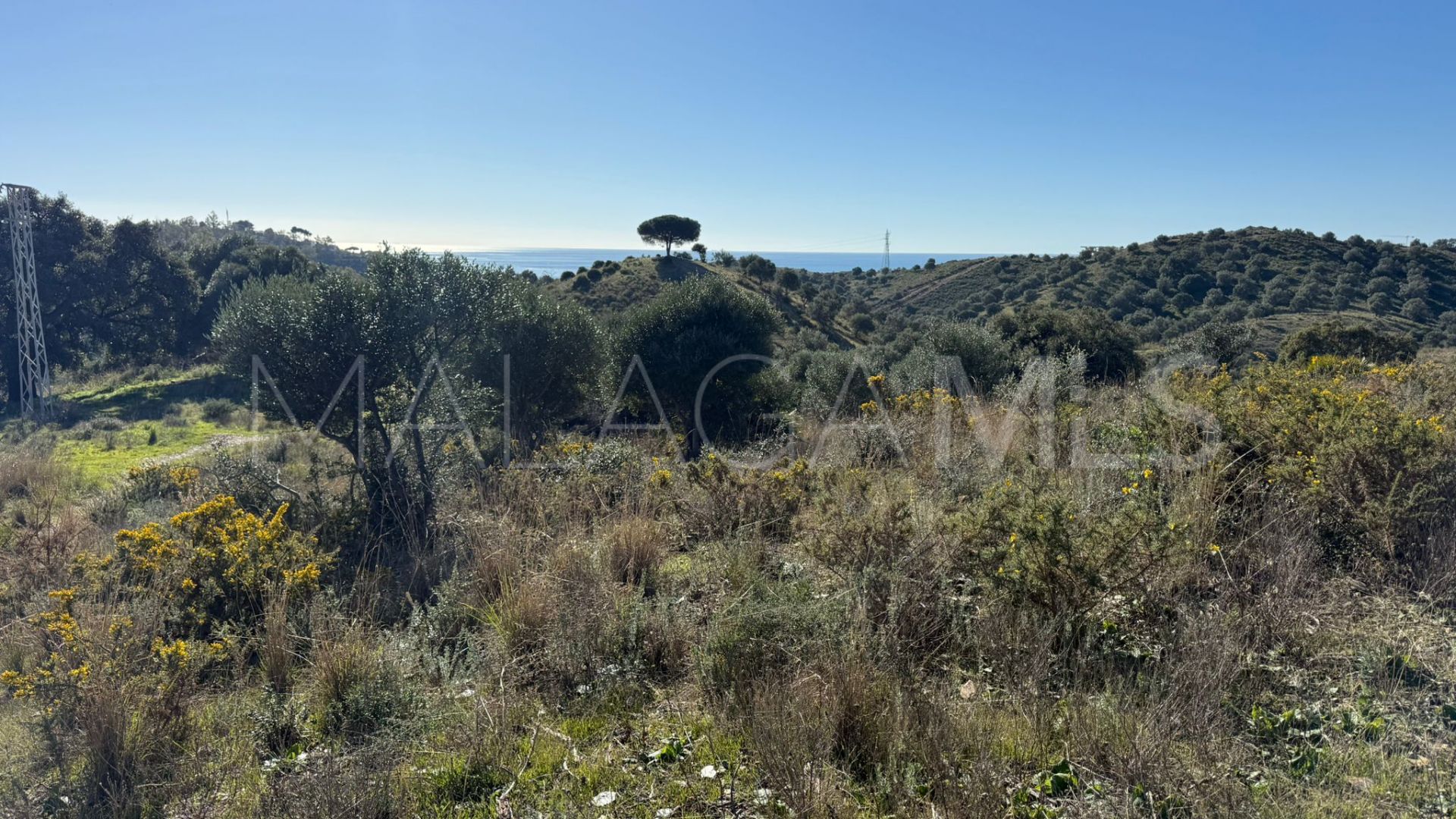 For sale Cala de Mijas plot