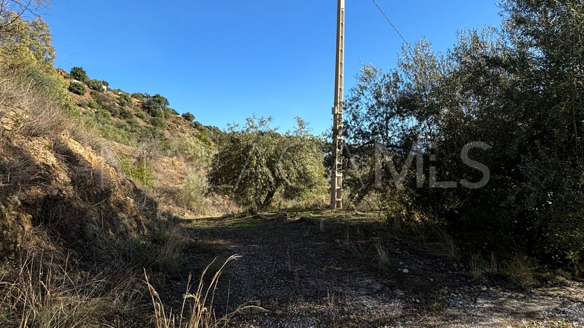 Finca for sale in Colmenar