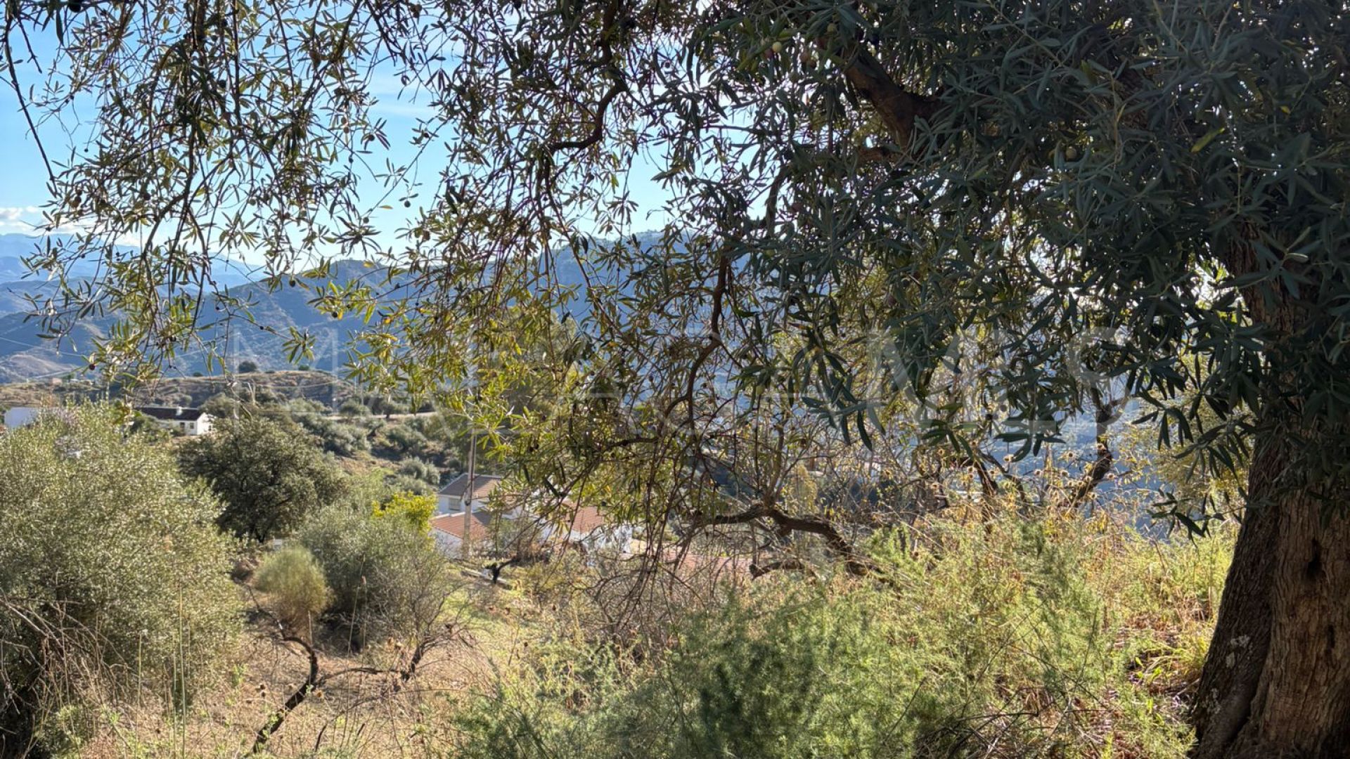 Finca for sale in Colmenar