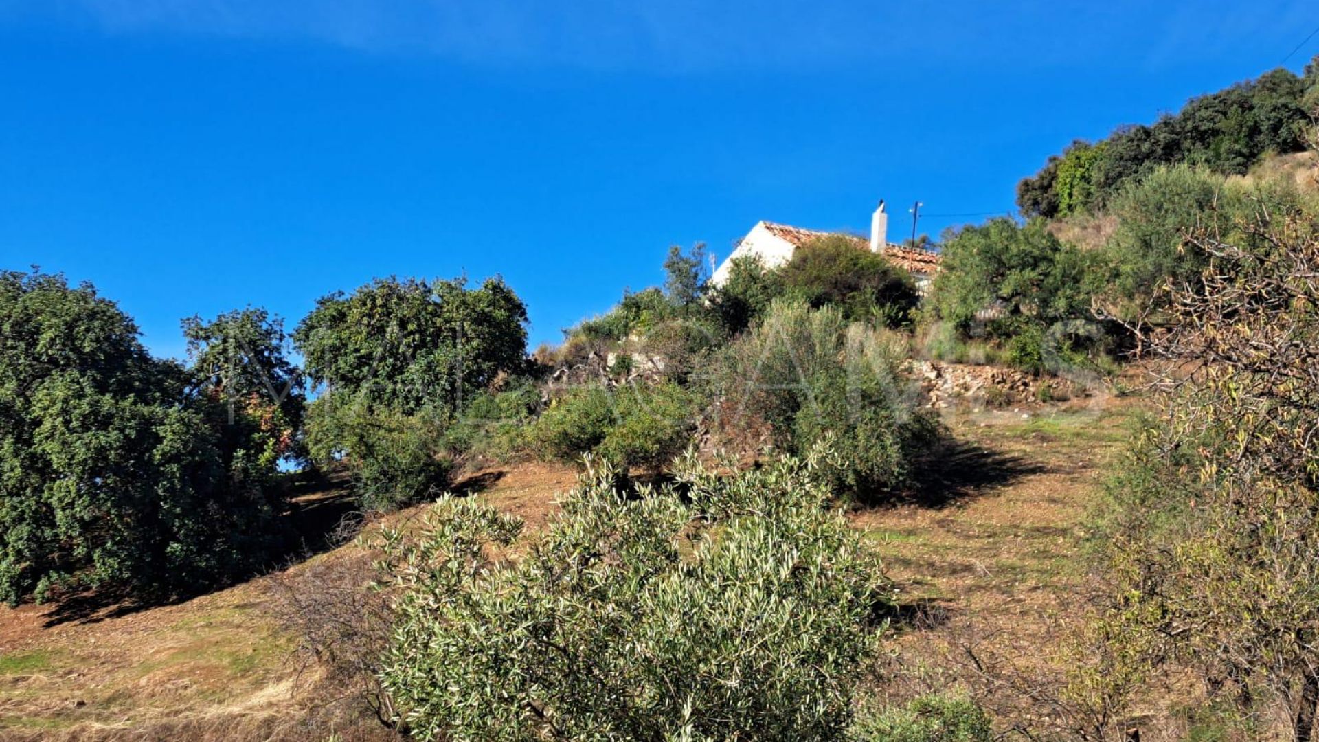 Finca for sale in Colmenar