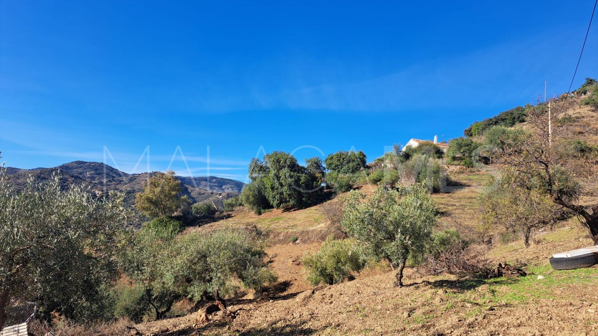 Finca for sale in Colmenar