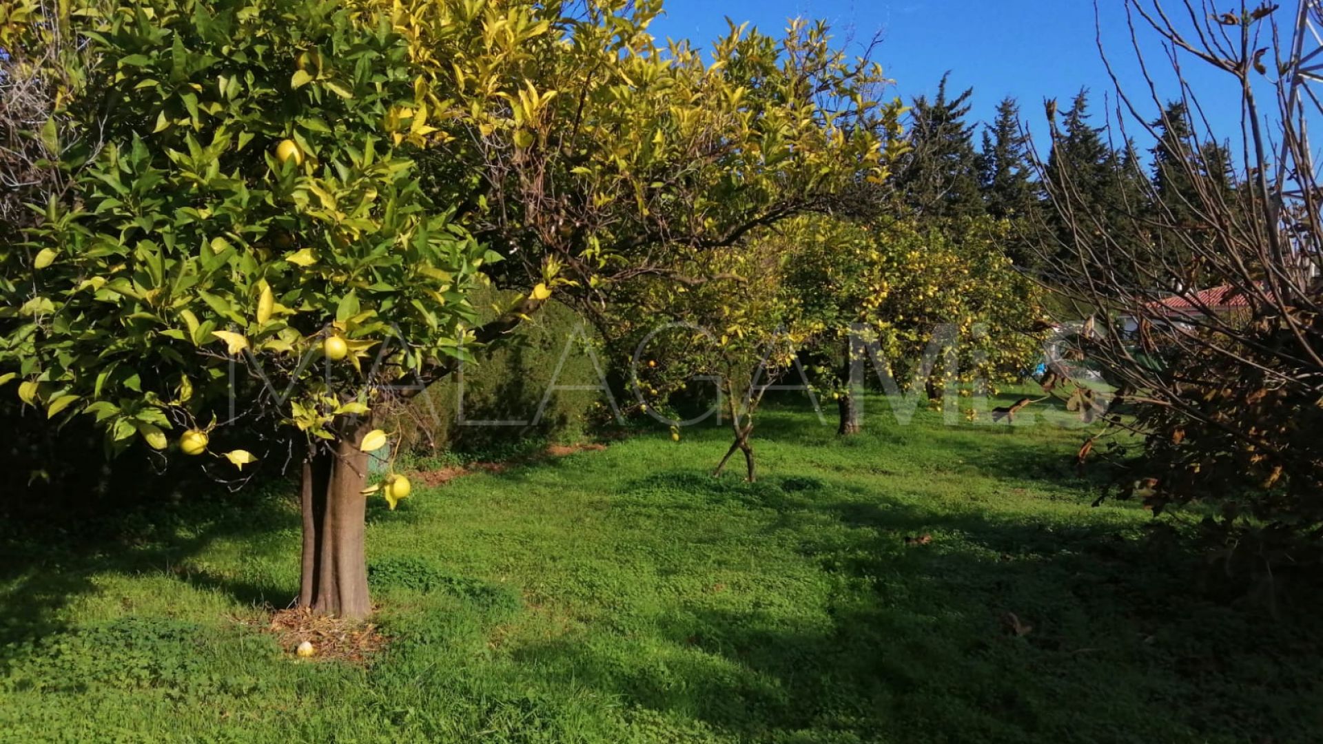 Finca for sale in La Resina Golf