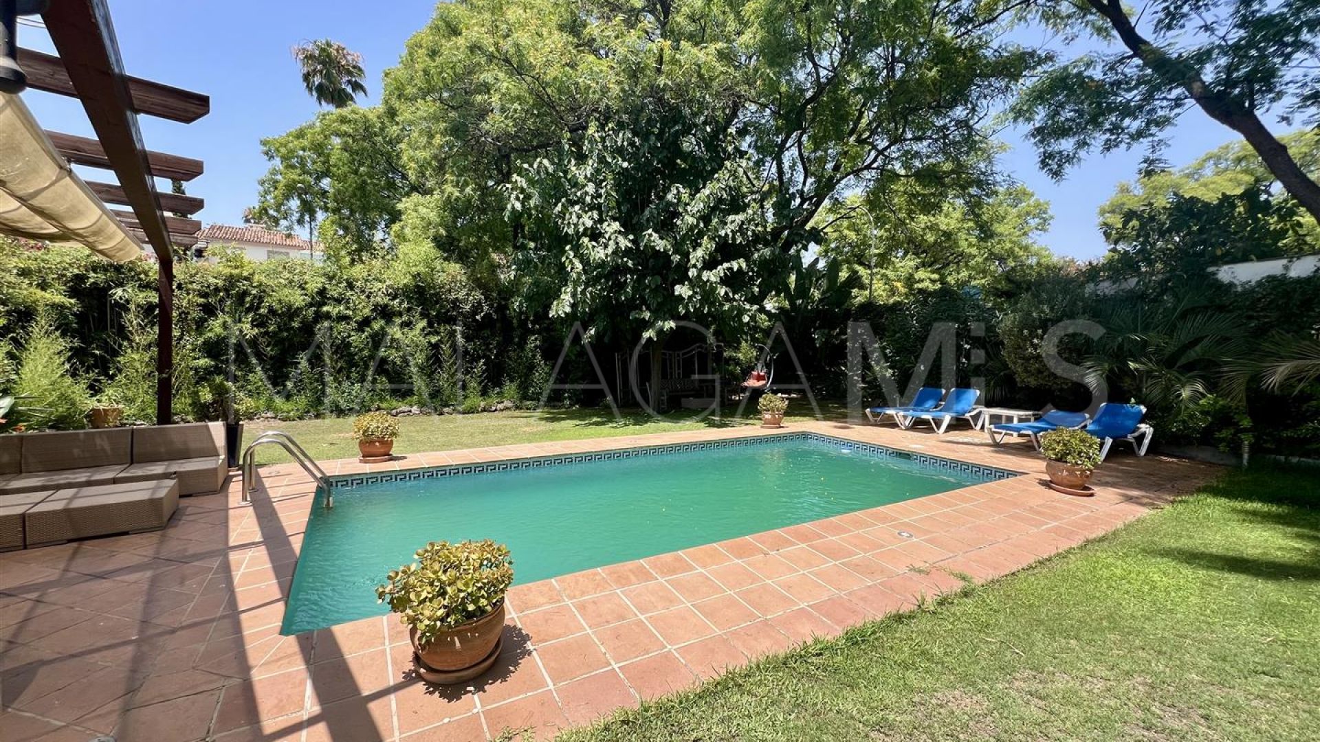 Buy pareado in Nueva Andalucia