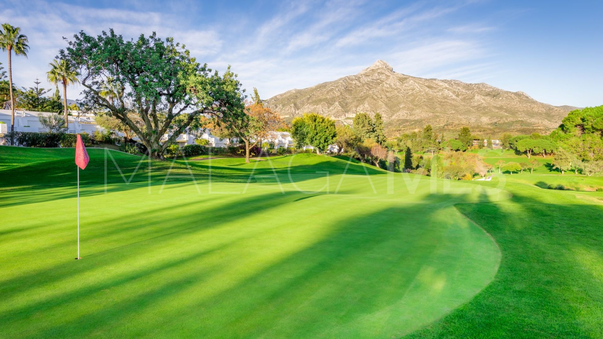 Pareado for sale in Nueva Andalucia with 3 bedrooms