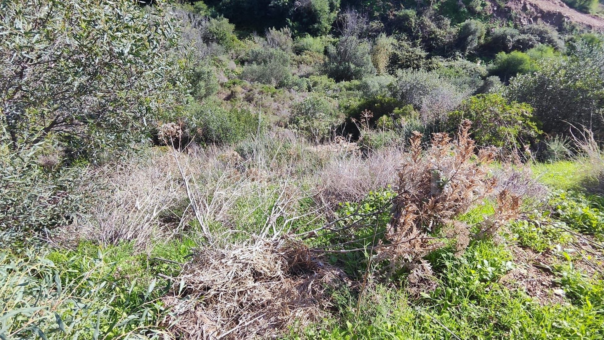 Parcela a la venta in El Rosario