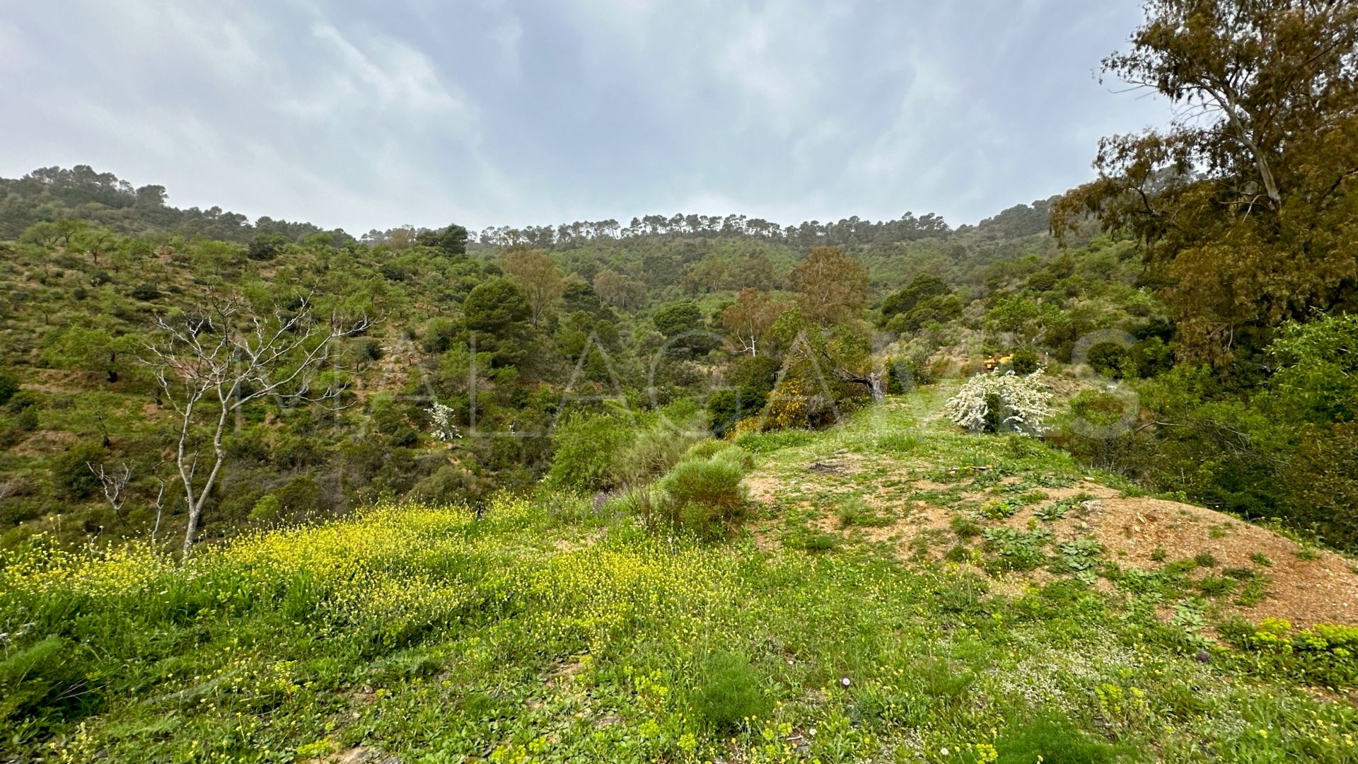 Finca for sale in Pinares de San Antón