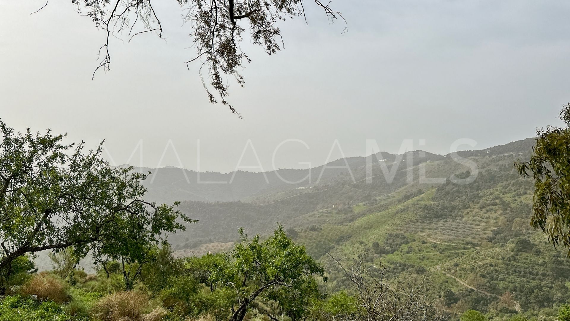 Finca for sale in Pinares de San Antón