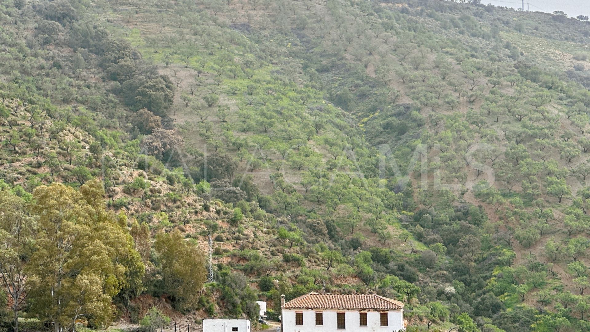 Finca for sale in Pinares de San Antón