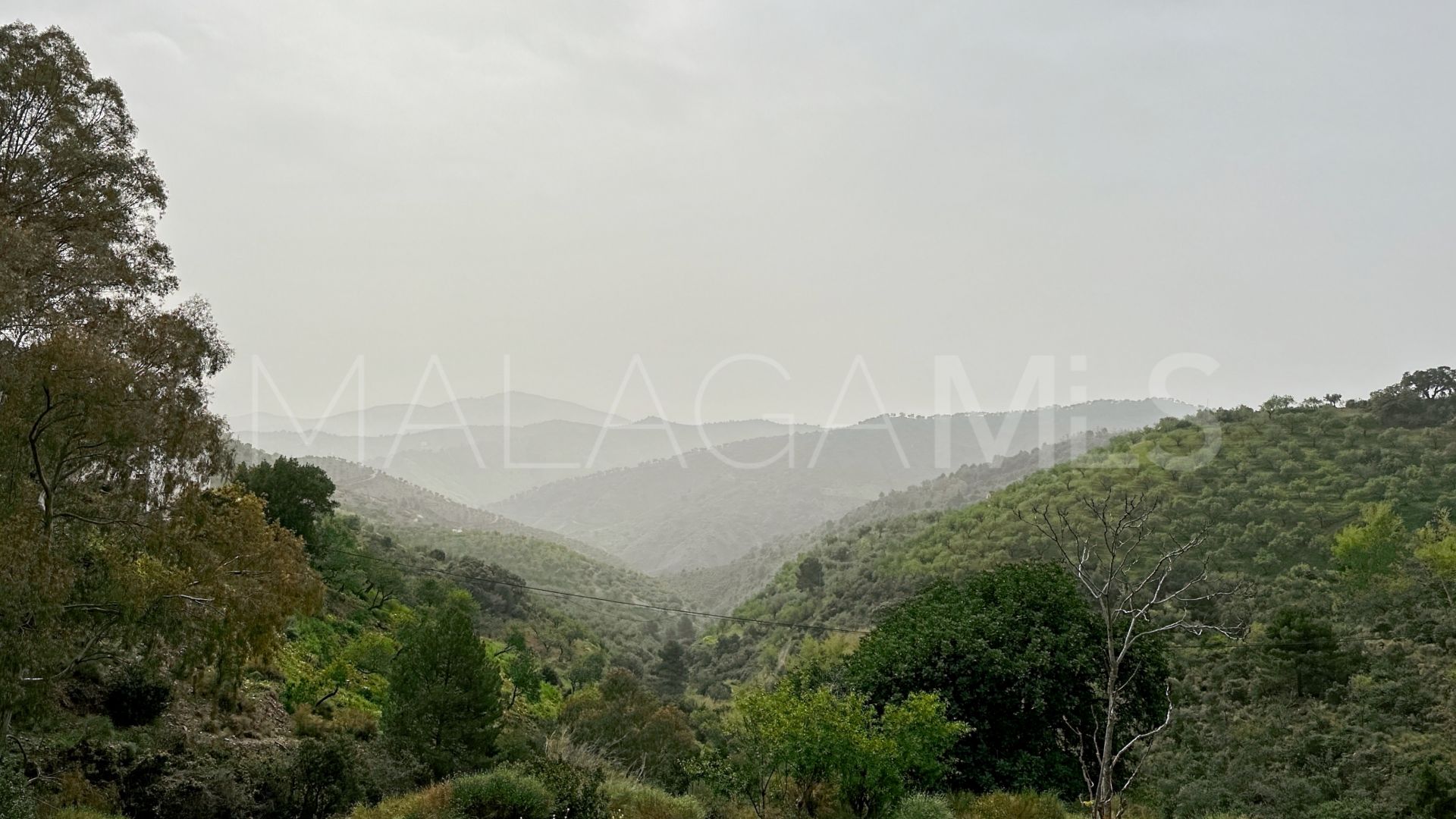 Finca for sale in Pinares de San Antón