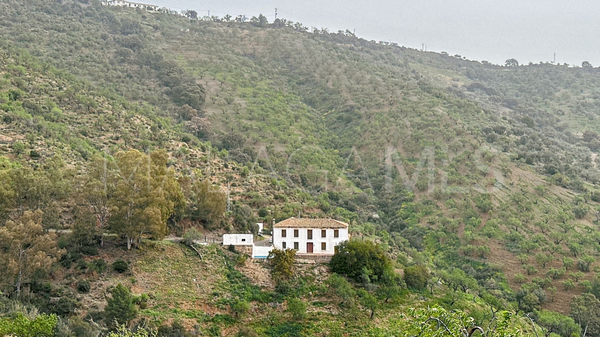 Finca for sale in Pinares de San Antón