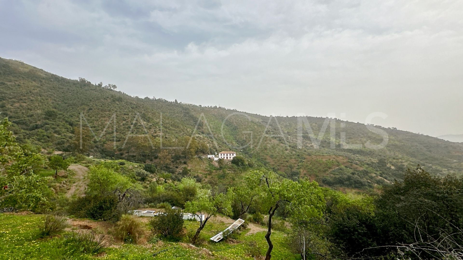 Finca for sale in Pinares de San Antón