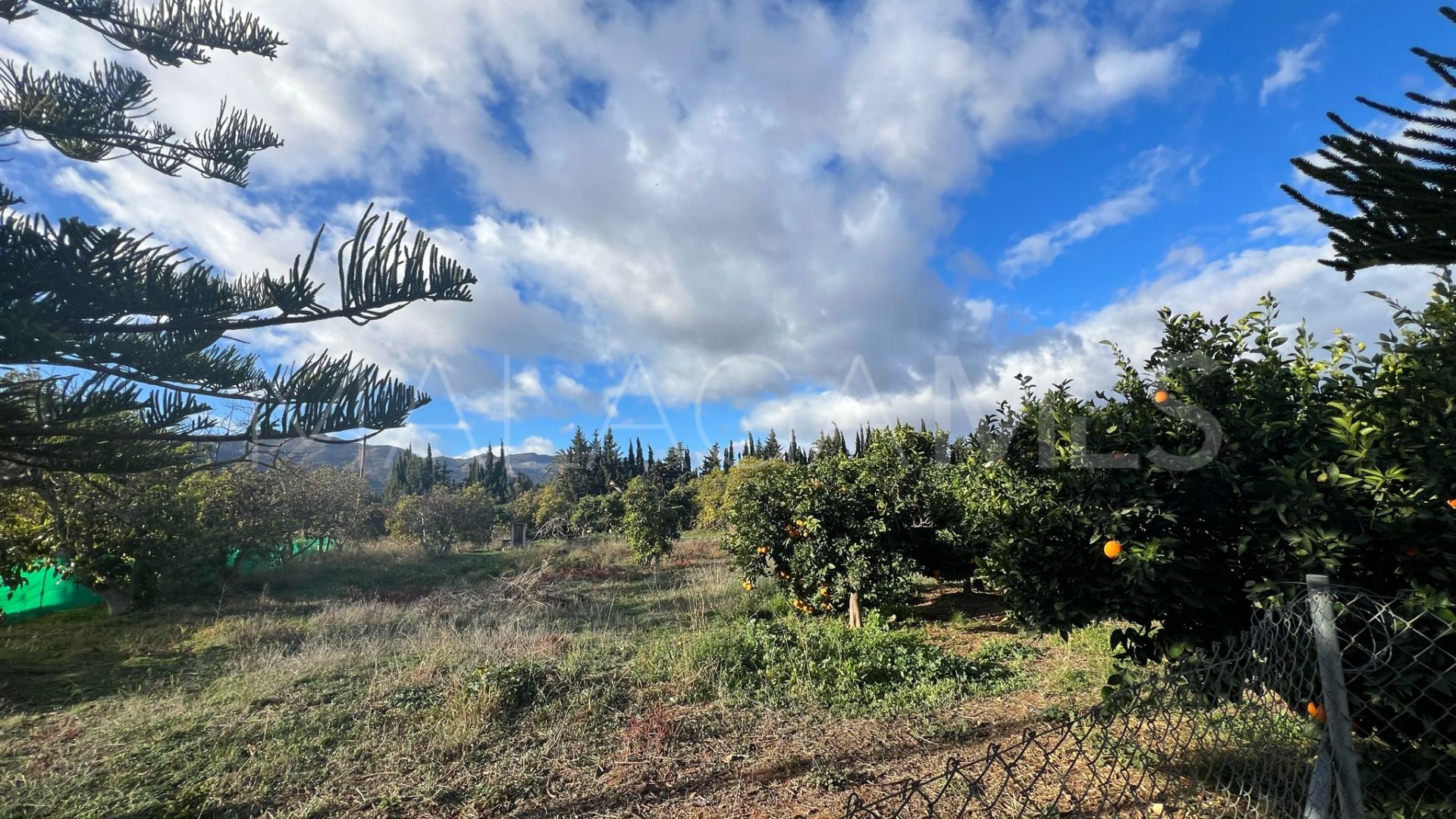 Finca for sale in Alhaurin de la Torre