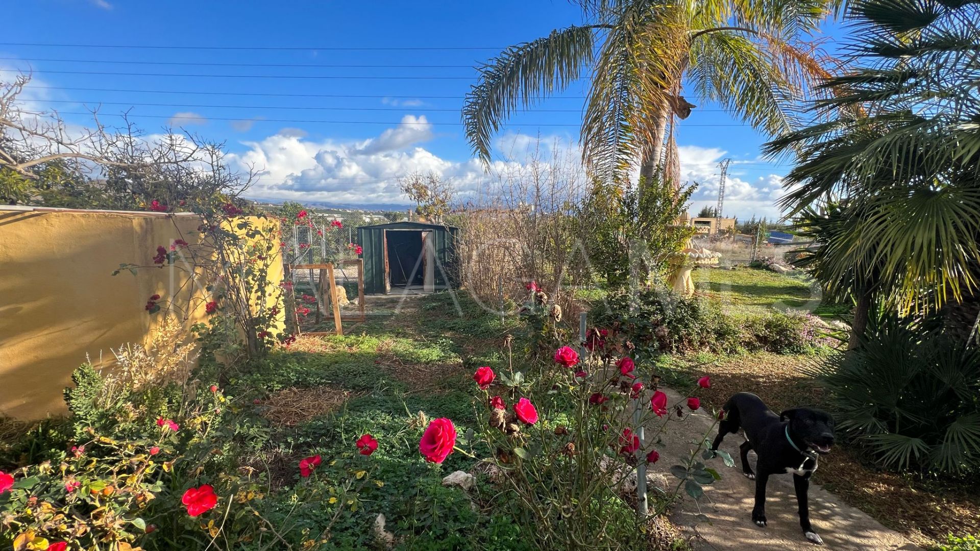 Finca for sale in Alhaurin de la Torre