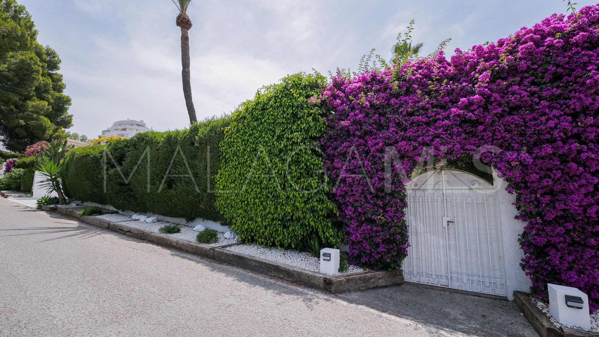 Villa for sale in Guadalmina Alta