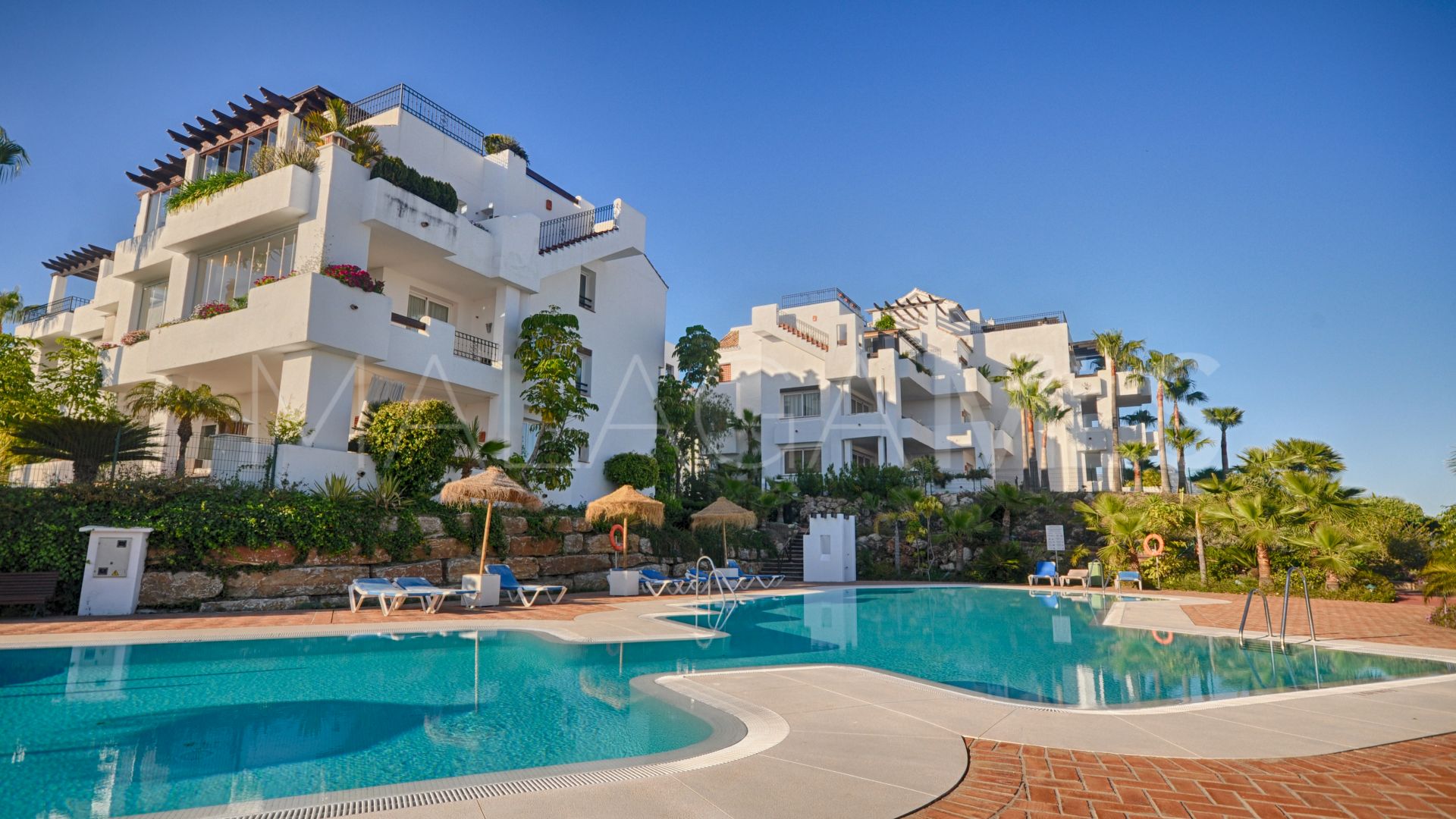 Buy apartamento in Lomas del Marqués