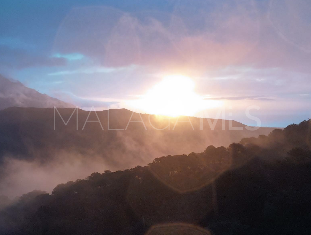 Villa for sale in Monte Mayor