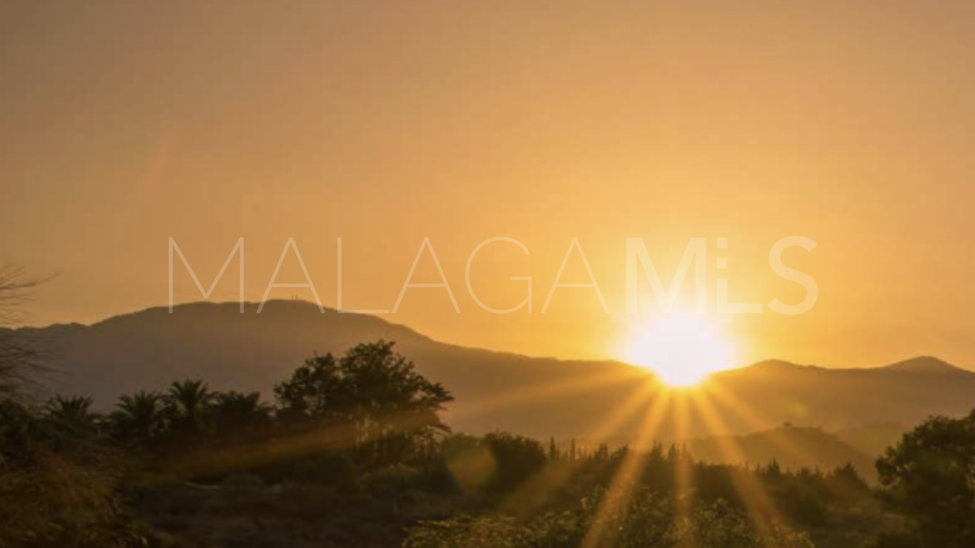 Villa for sale in Monte Mayor