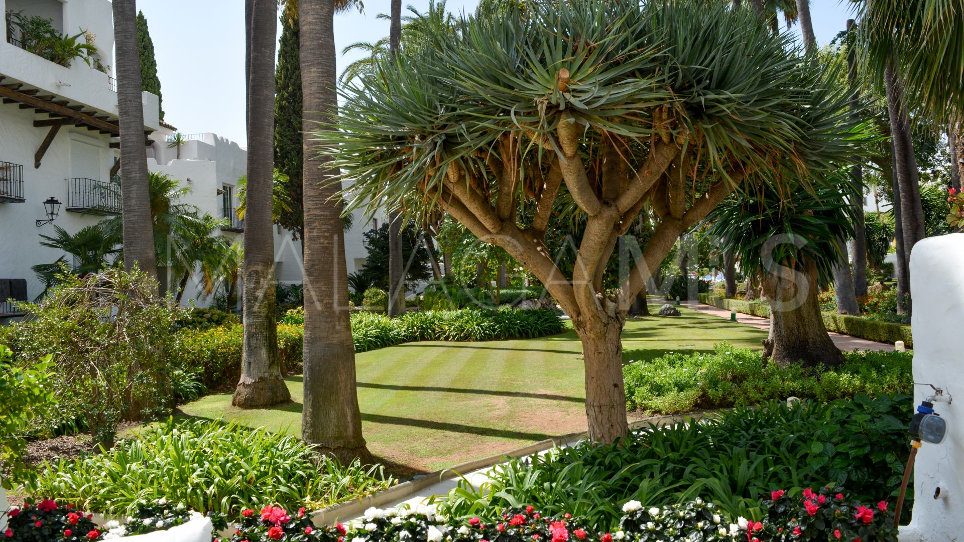 Appartement for sale in Marbella - Puerto Banus
