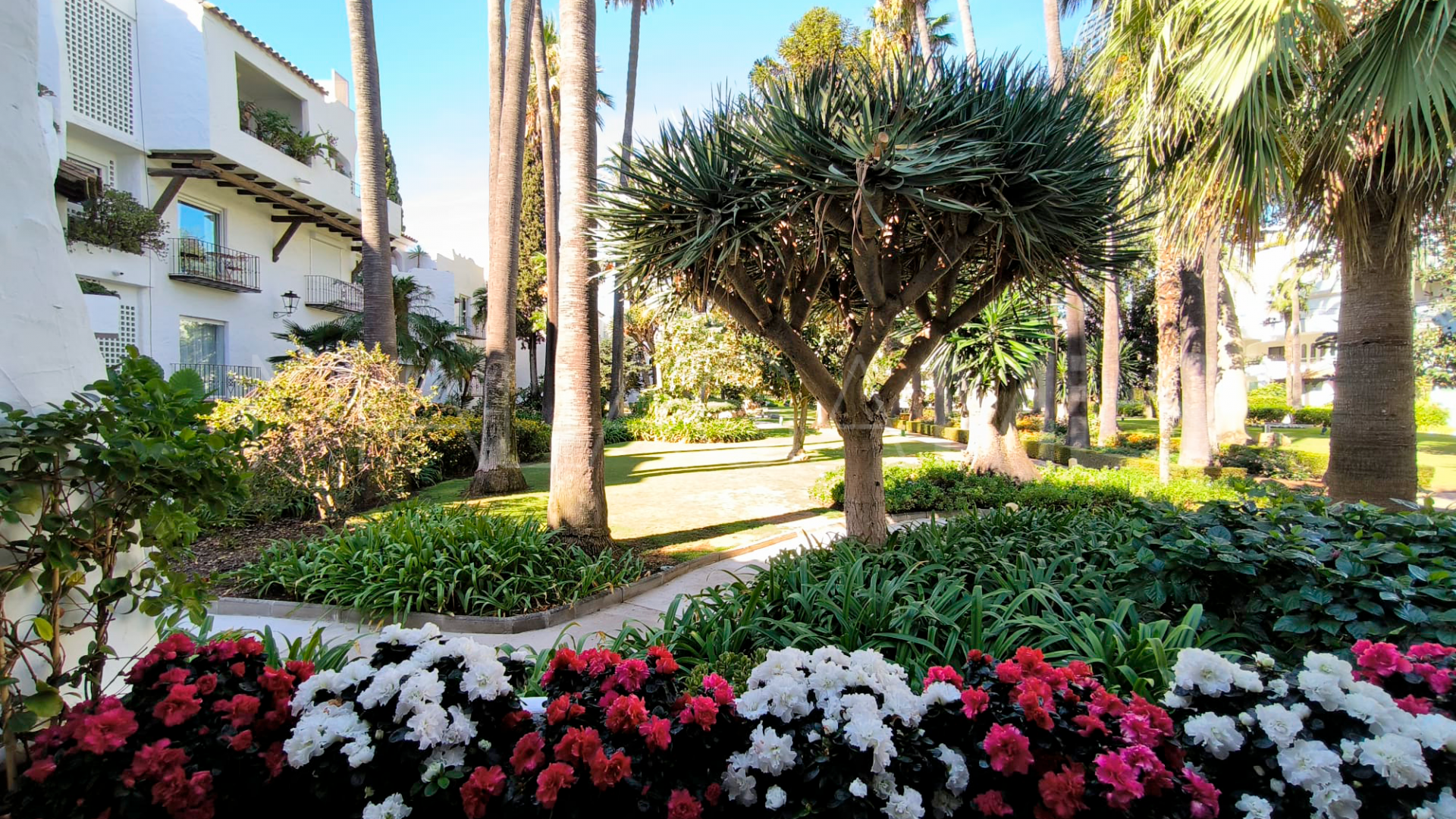 Appartement for sale in Marbella - Puerto Banus